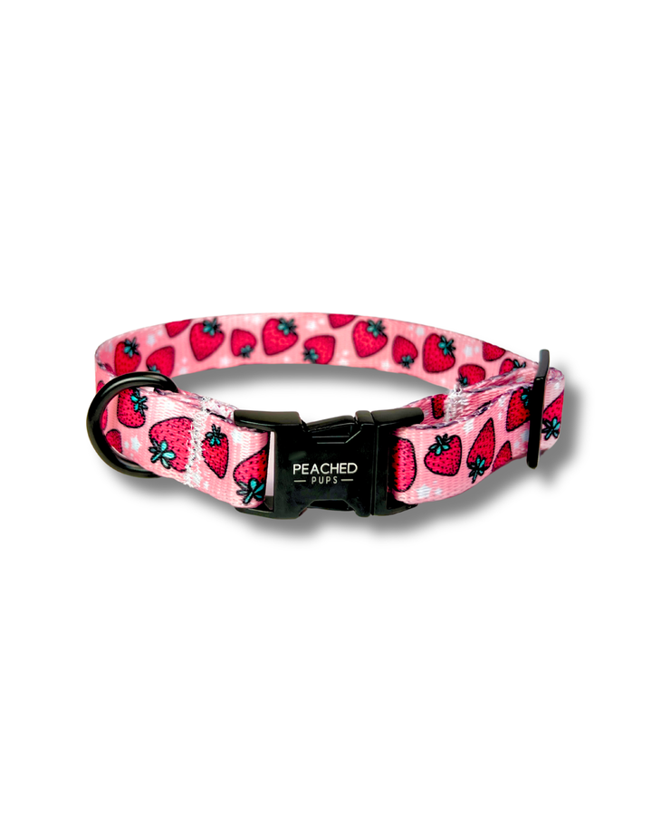 Strawberry Fields Collar