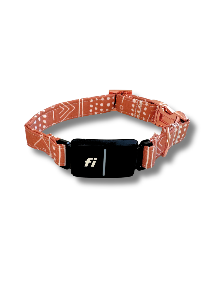 Autumn Spice Fi Compatible Collar