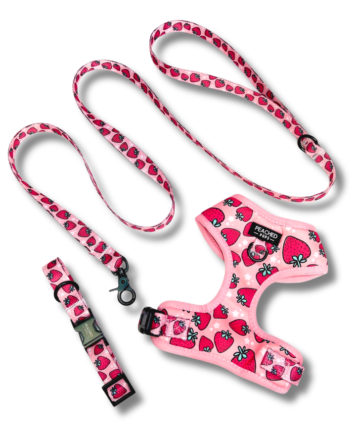 Strawberry Harness, Collar &amp; Leash Bundle