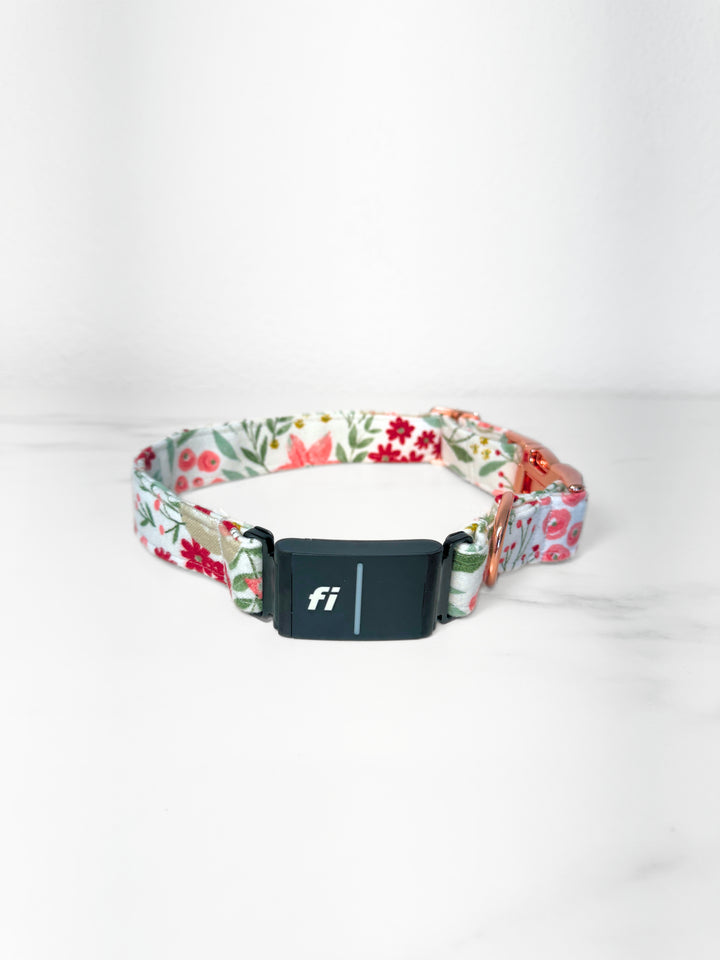 Winter Blooms Fi Compatible Collar