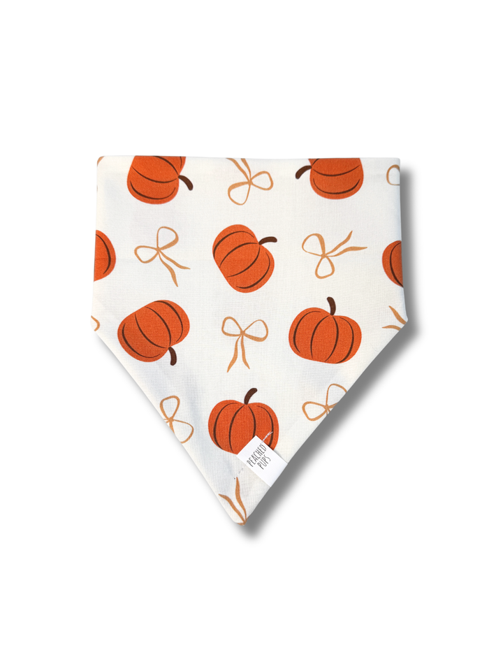 Pumpkin & Bows