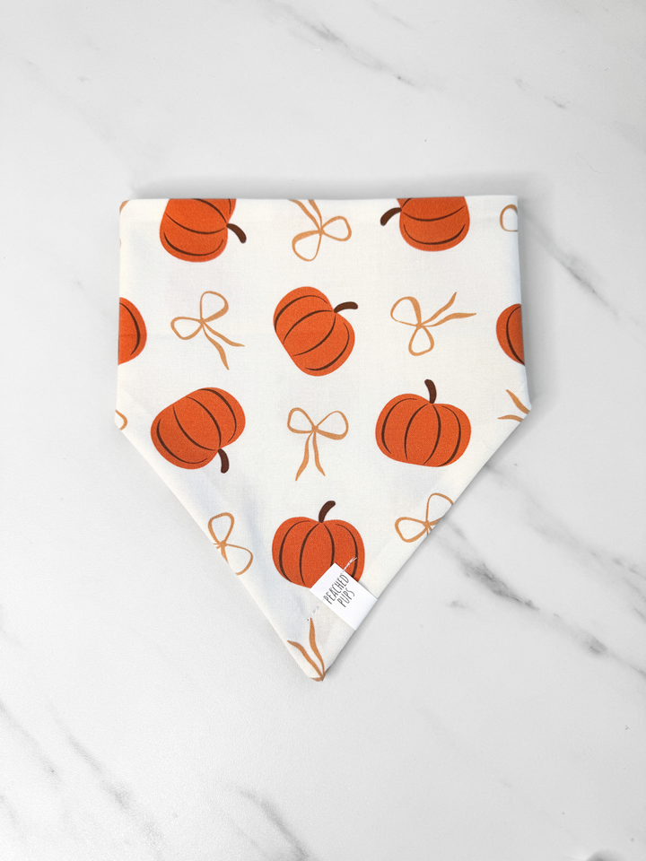 Pumpkin & Bows