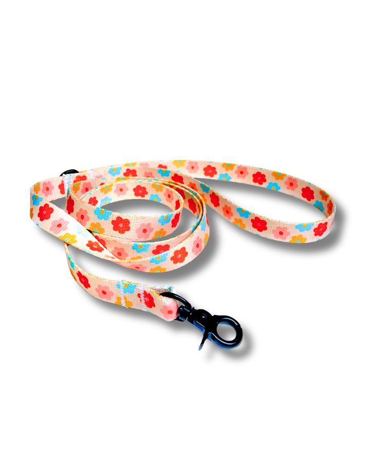 Floral Harness, Collar &amp; Leash Bundle