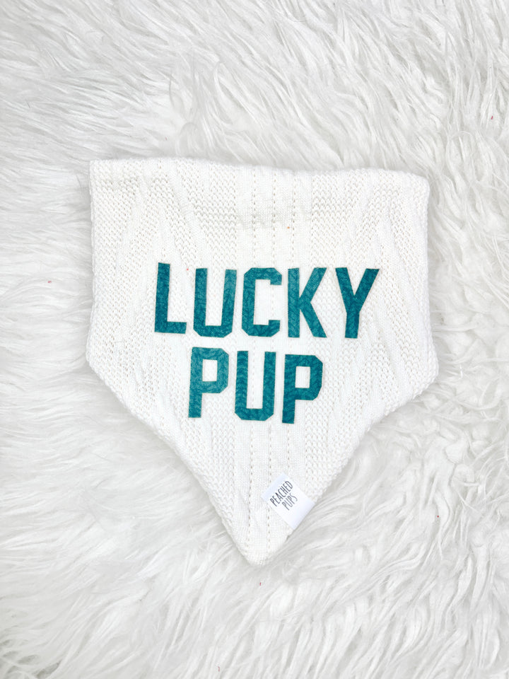 Lucky Pup Sweater