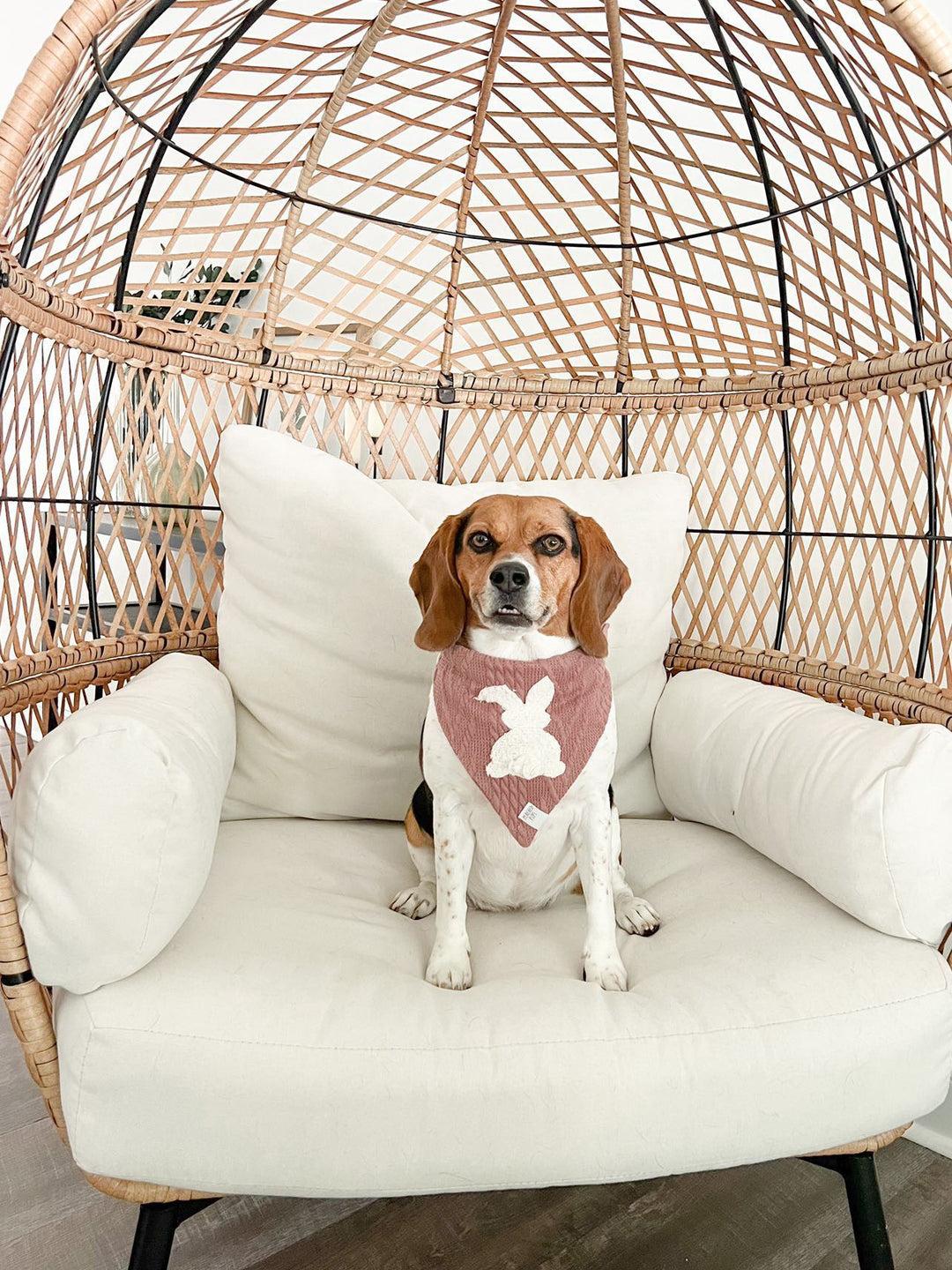 Little Bunny Foo Foo Dog Bandana