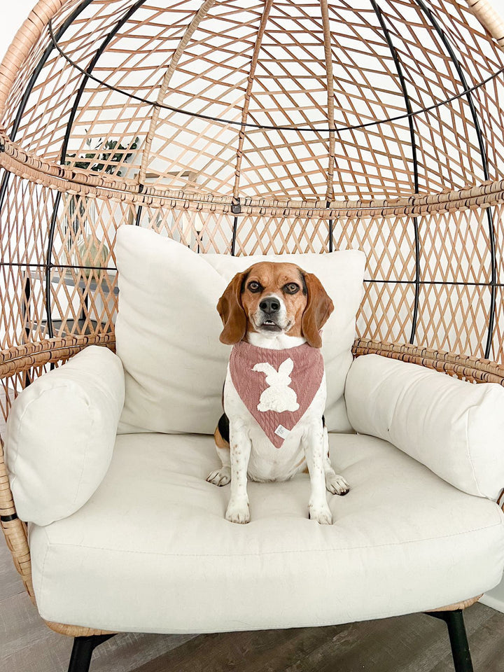 Little Bunny Foo Foo Dog Bandana