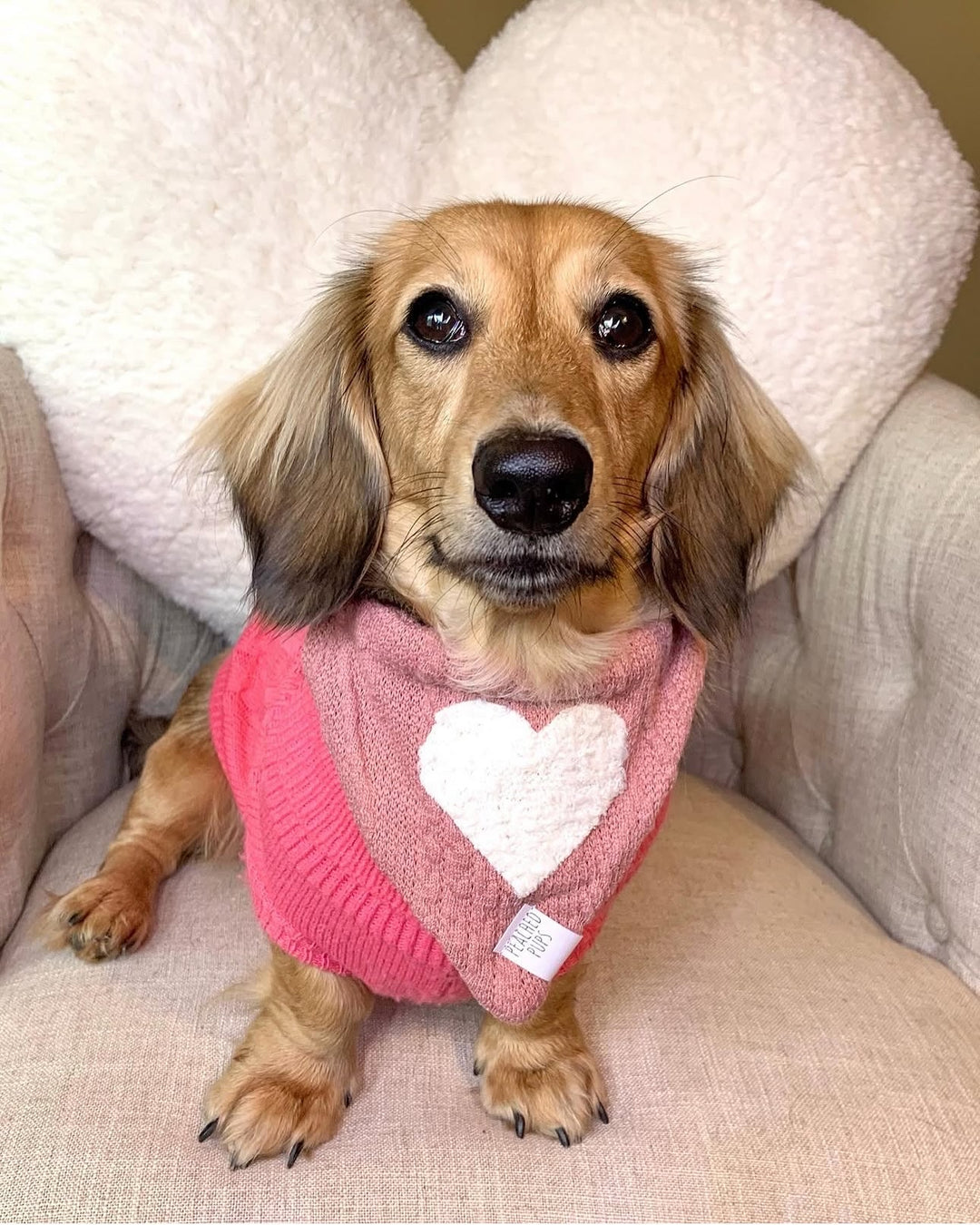 Fuzzy Hearts Dog Bandana