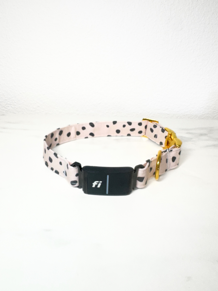 Speckled Dots Fi Compatible Collar