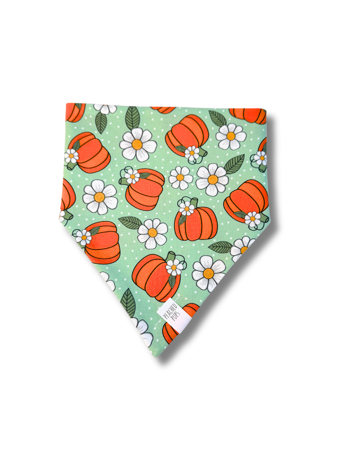 Pumpkin Patch Posies