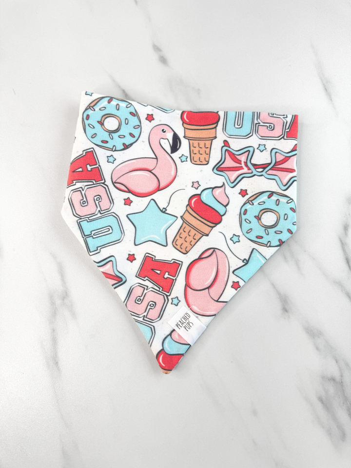 Patriotic Pool Party