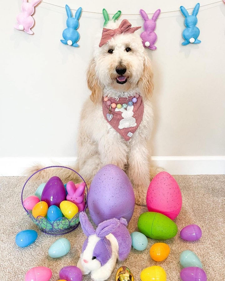 Little Bunny Foo Foo Dog Bandana