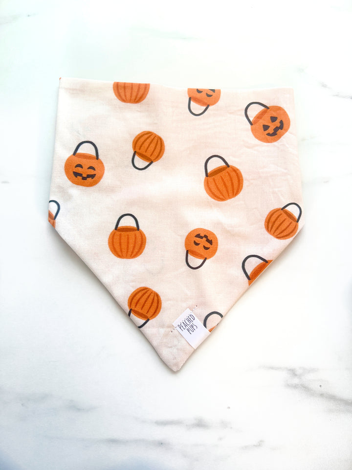 Pumpkin Pail