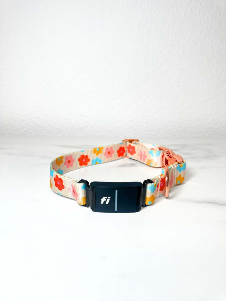 Floral Bloom Fi Compatible Collar