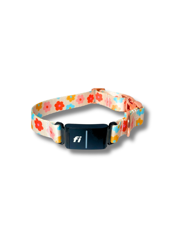 Floral Bloom Fi Compatible Collar
