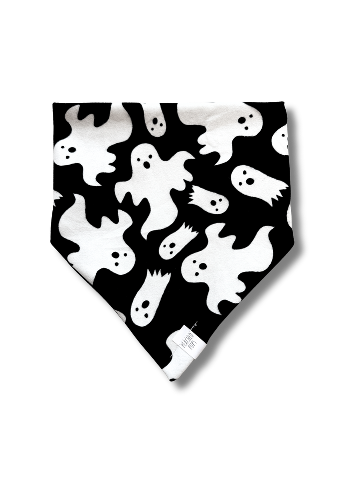 Glow-in-the-Dark Ghost