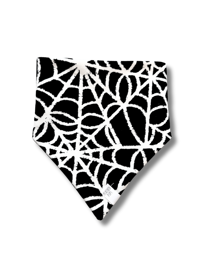 Glow-in-the-Dark Spider Webs