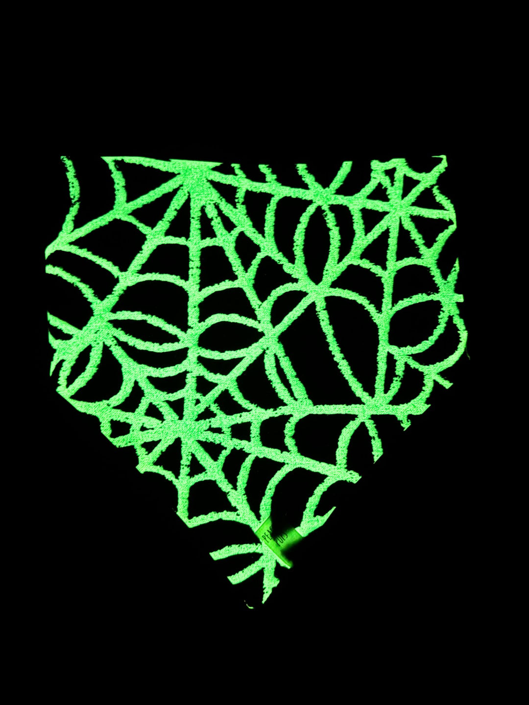 Glow-in-the-Dark Spider Webs