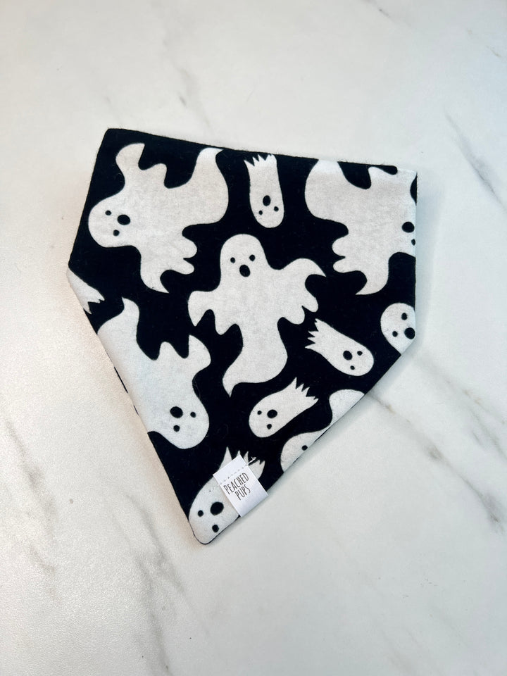 Glow-in-the-Dark Ghost