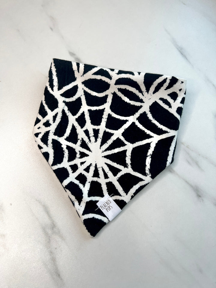 Glow-in-the-Dark Spider Webs