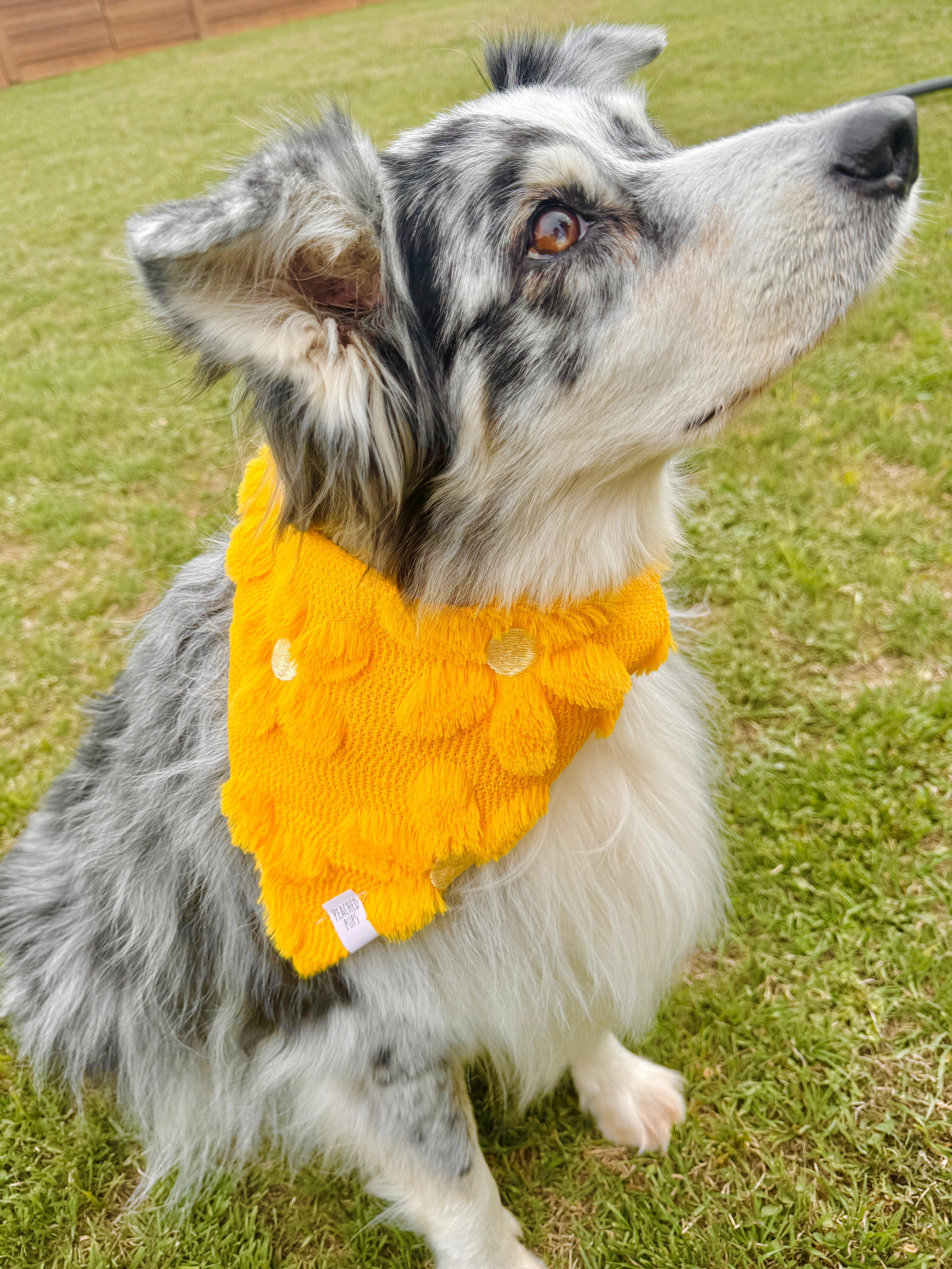 Daisy Flower Jacquard Dog Bandana – Soft Fluffy Plush Pet Bandana