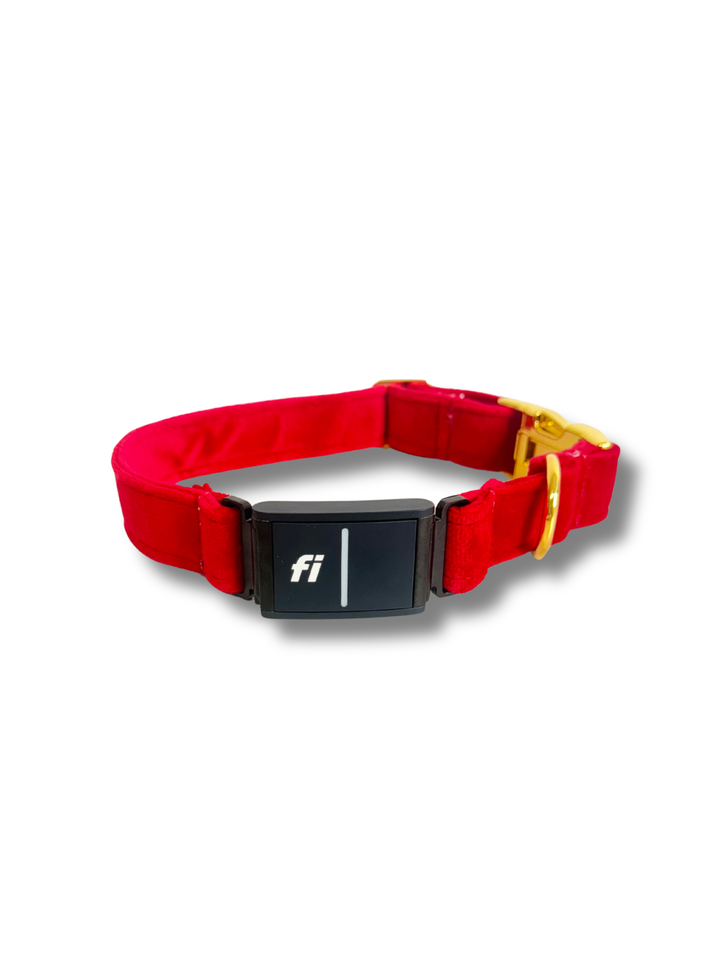 Velvet Red Fi Compatible Collar