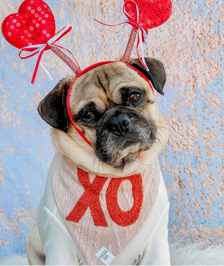 Valentine's Day XO