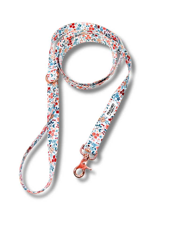 Autumn Bloom Leash
