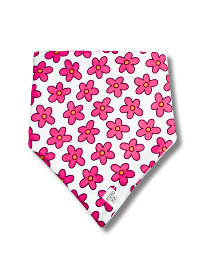 Petal Pop