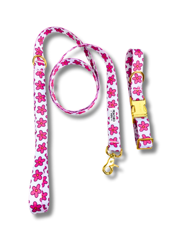 Petal Pop Matching Walk Set