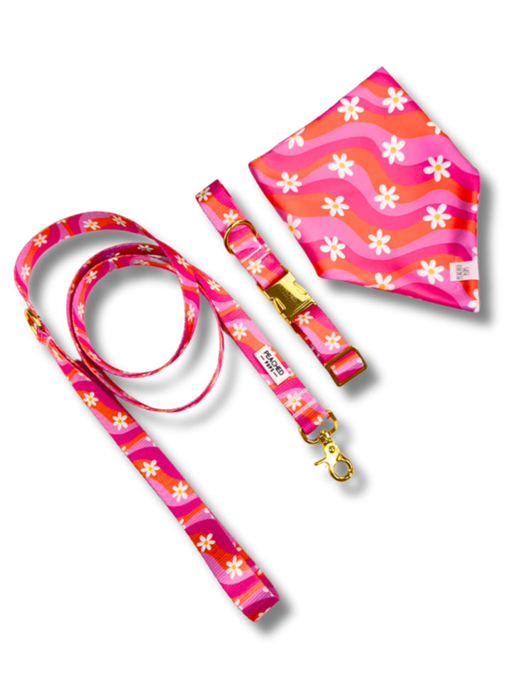 Groovy Bloom Complete Walk Set