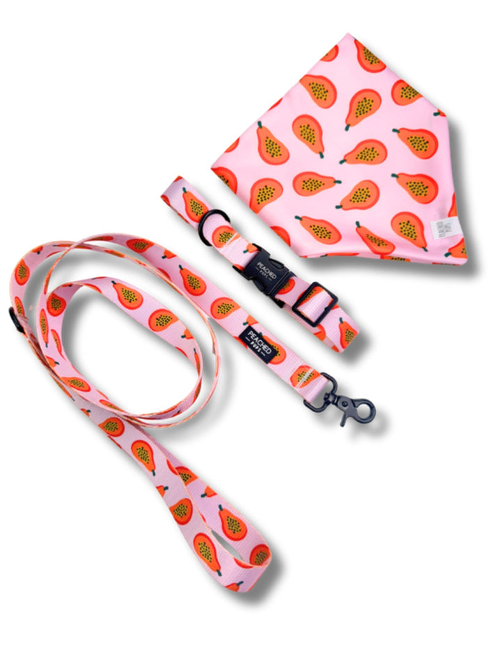 Papaya Punch Complete Walk Set