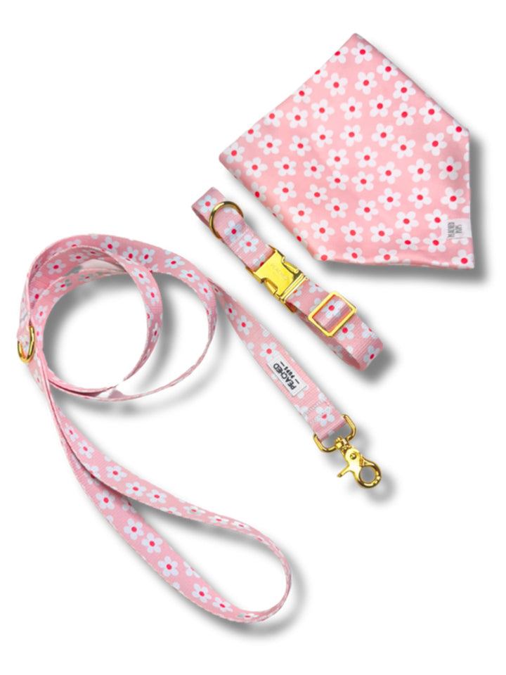 Daisy Garden Complete Walk Set