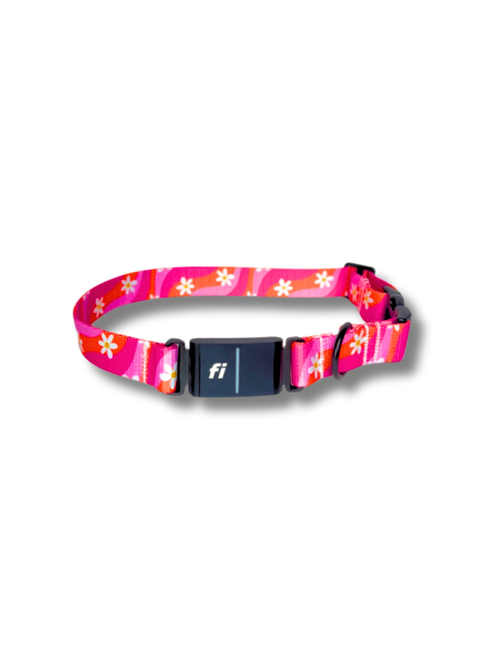 Groovy Bloom Fi Compatible Collar