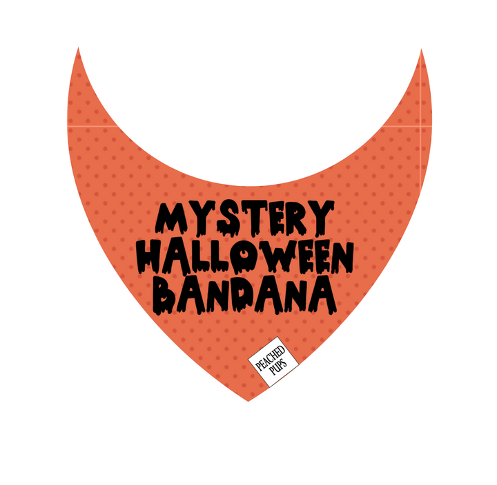 Mystery Halloween Bandana