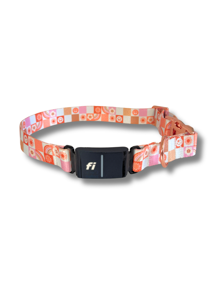 Retro Rainbow Fi Compatible Collar