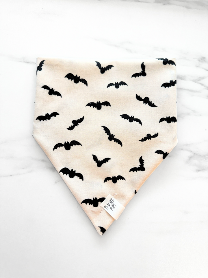 Batty Nights