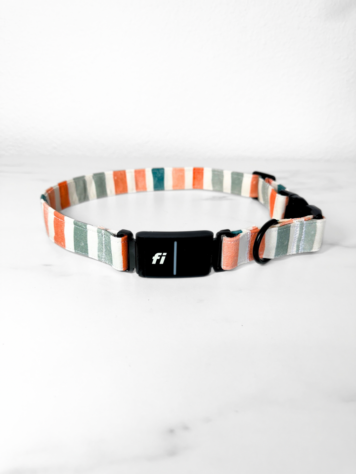 Fall Stripes Pastel Fi Compatible Collar