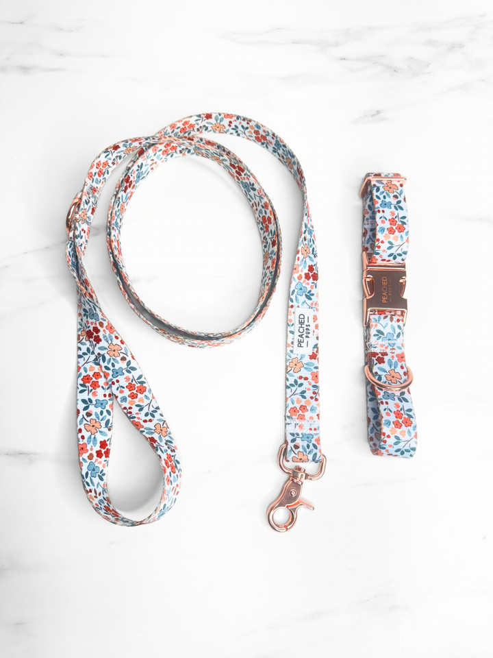 Two Piece Bundle - Autumn Bloom