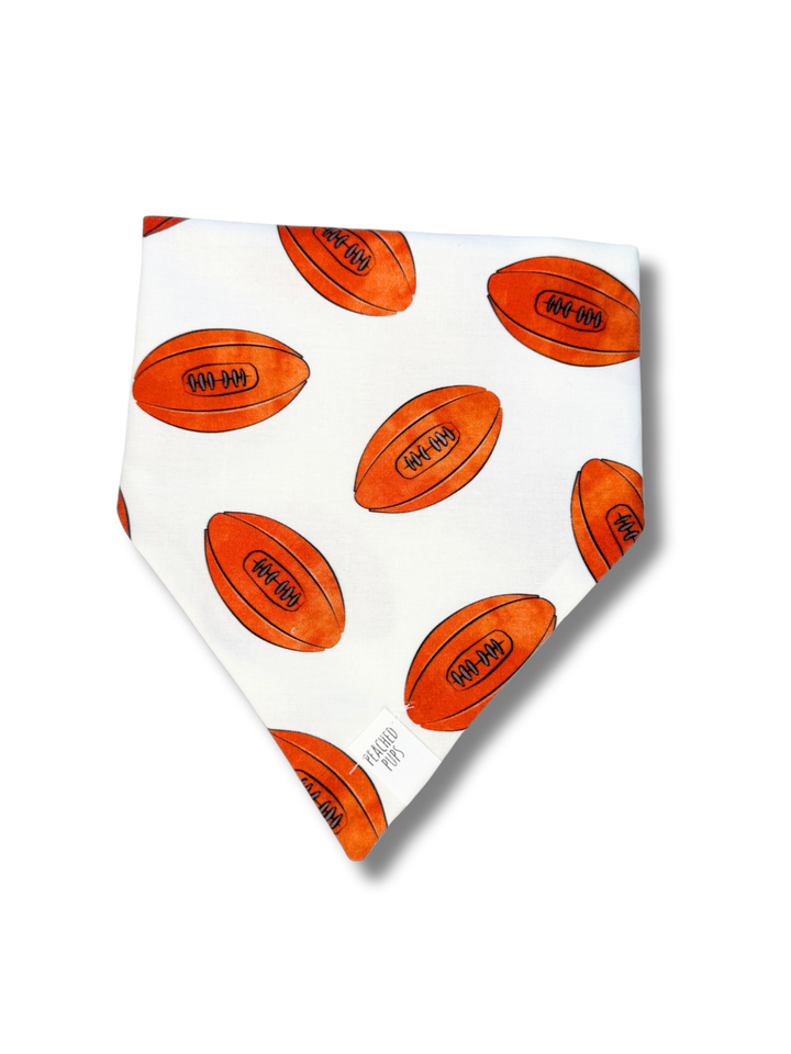 Go Sports! Dog Bandana