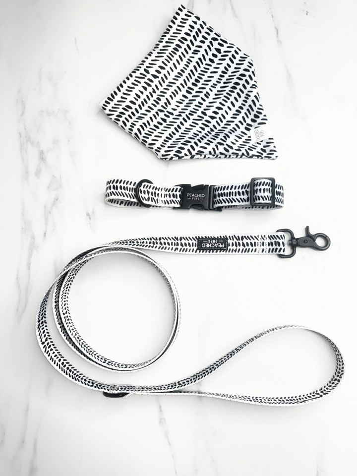 Three Piece Bundle - Trendsetter