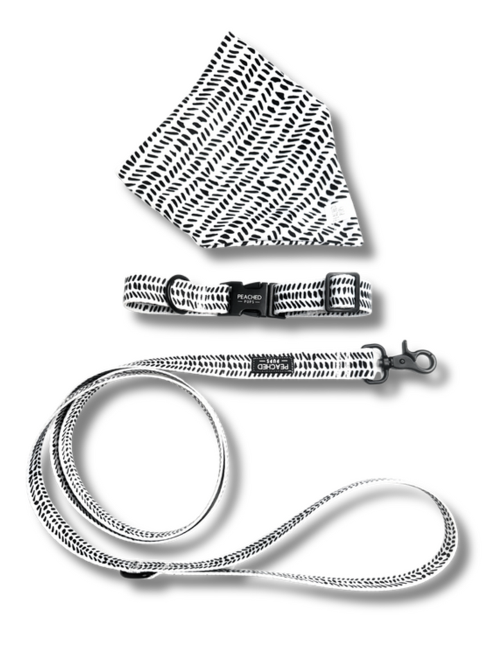 Three Piece Bundle - Trendsetter