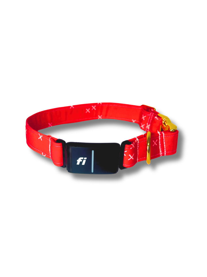 Scarlet Fi Compatible Collar