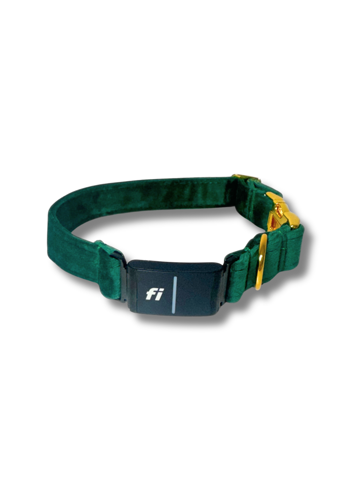 Velvet Green Fi Compatible Collar