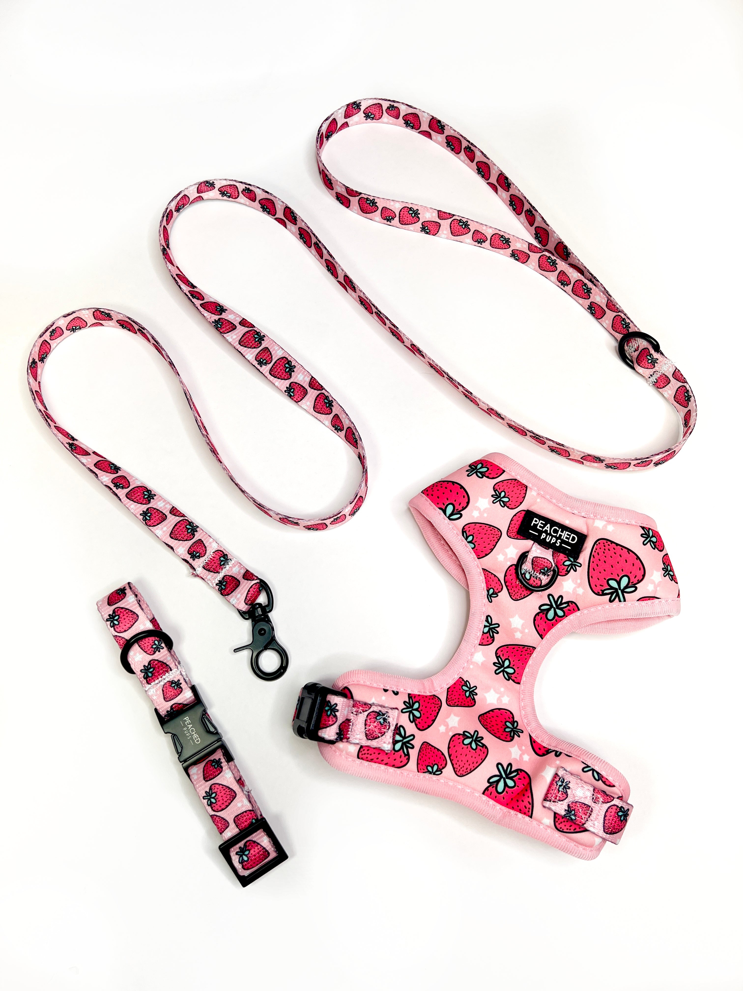 Strawberry Fields Collar