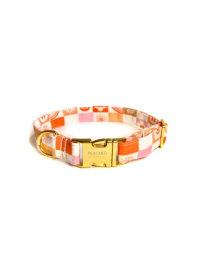 Retro Rainbow Fi Compatible Collar