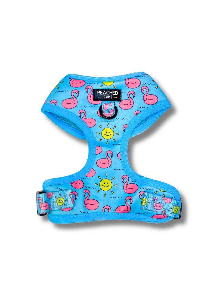 Flocktail Hour  - Adjustable Dog Harness