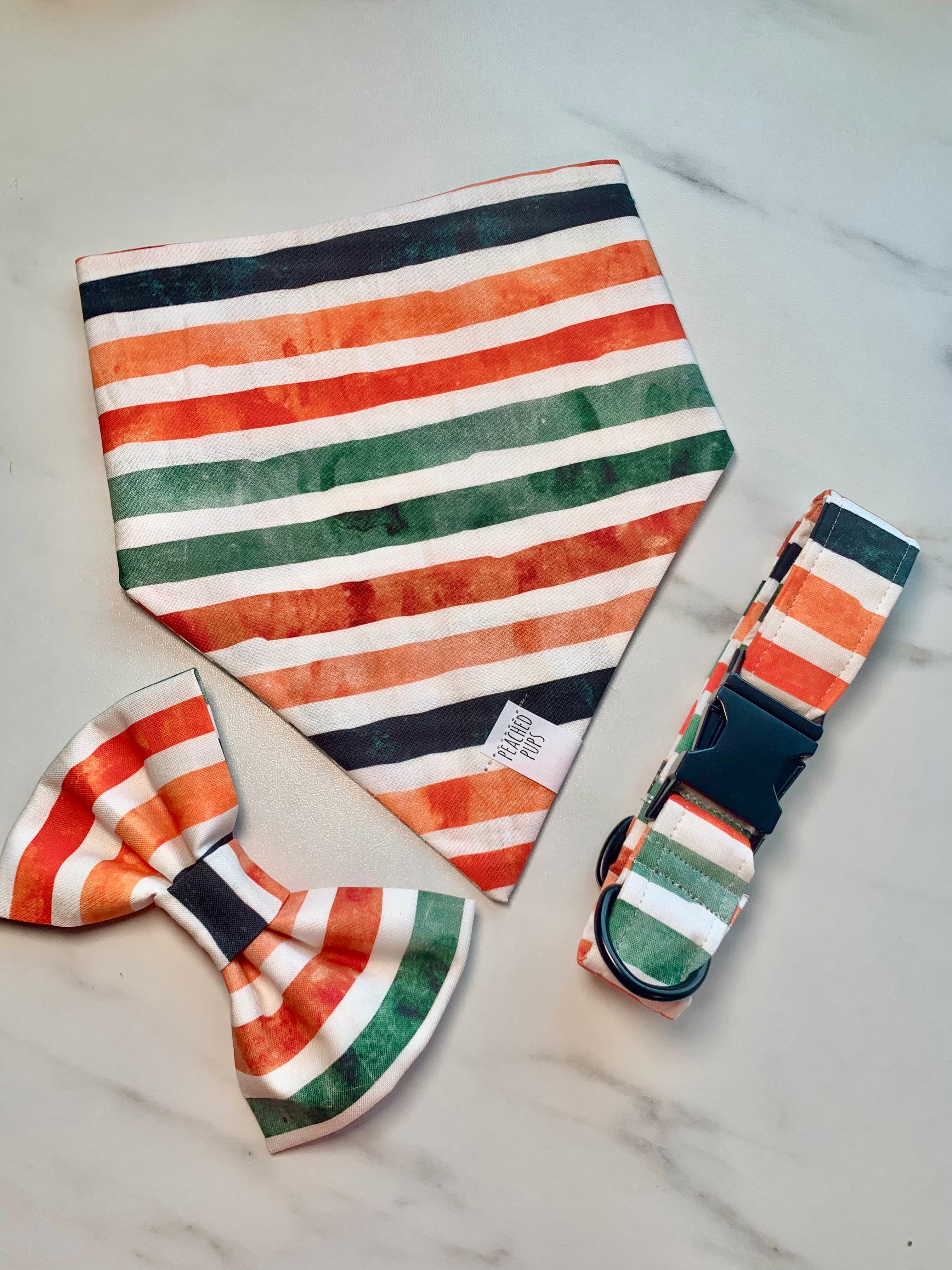 Fall Stripes - Vibrant Collar