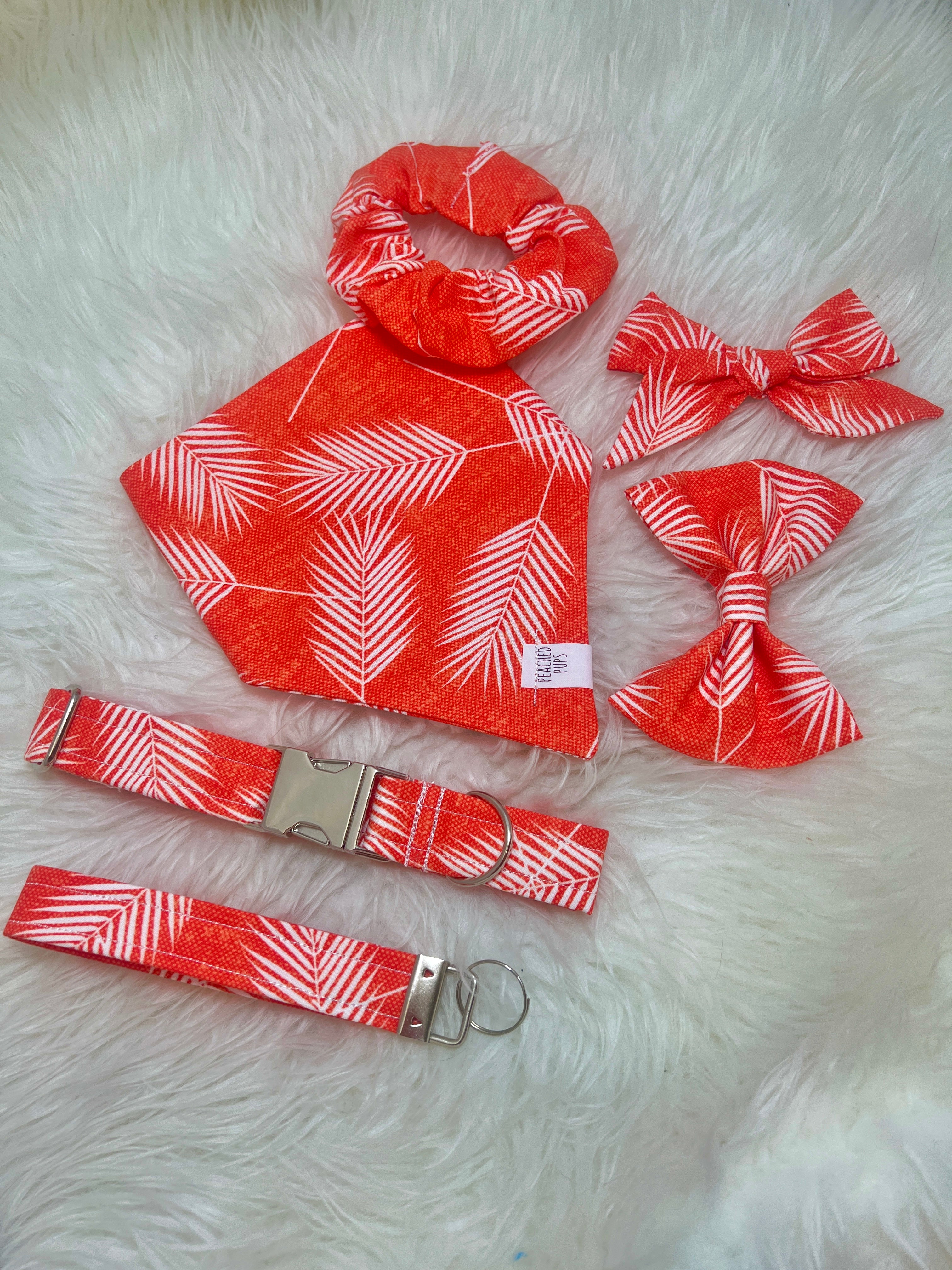 Hawaiian Punch Collar