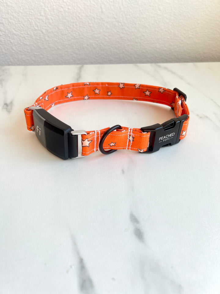 Fall Stars Fi Compatible Collar