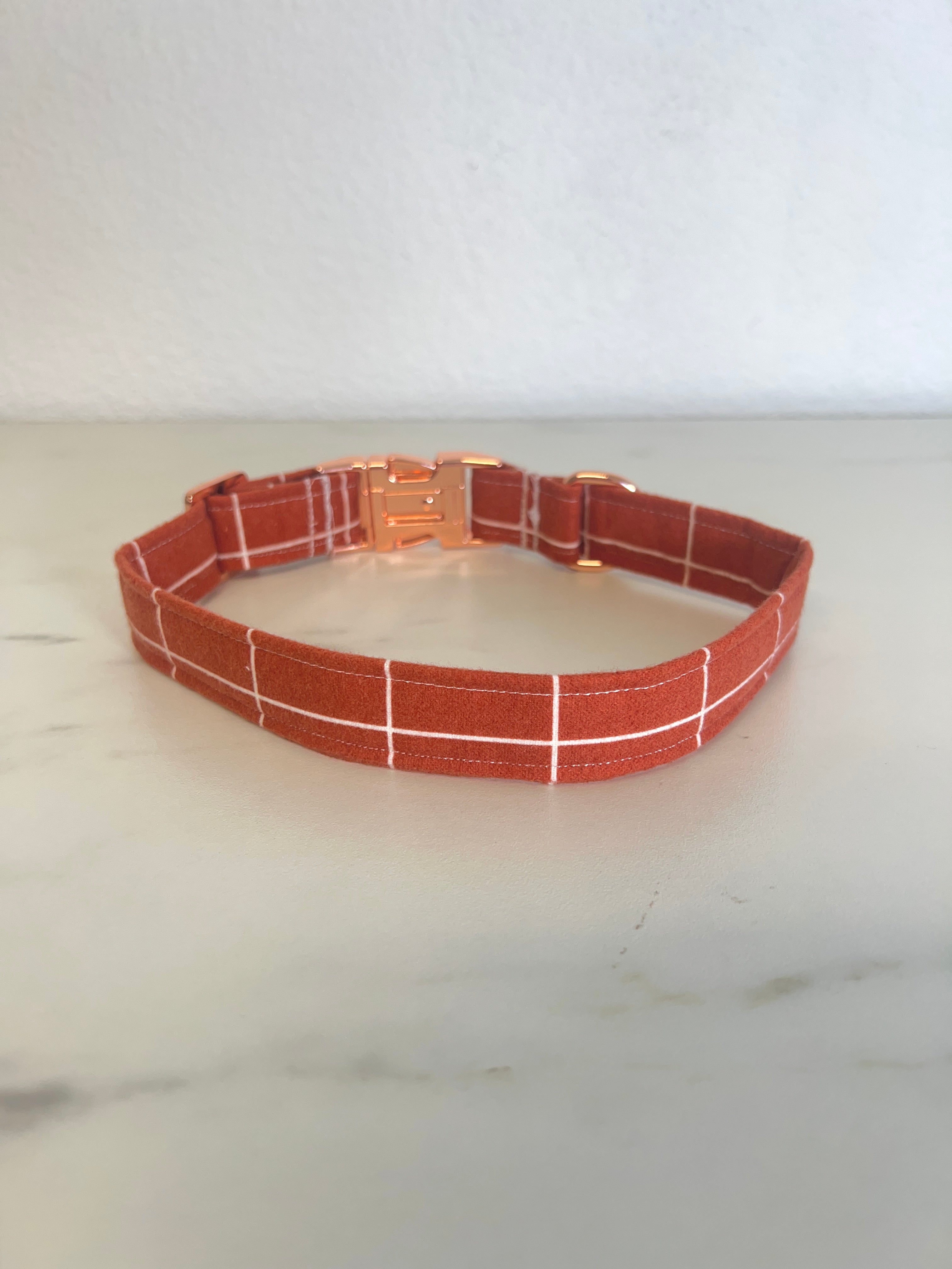 Cider & Spice Fi Compatible Collar